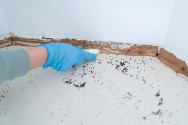 Best Pest Control for Multi-Family Homes  in Harrisburg, IL